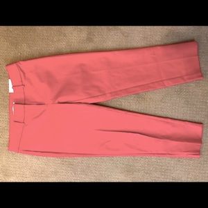 Ann Taylor loft size 6 nwt pants